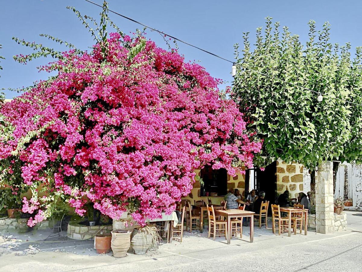 Villa Artemis Vryses Crete Alikampos Luaran gambar